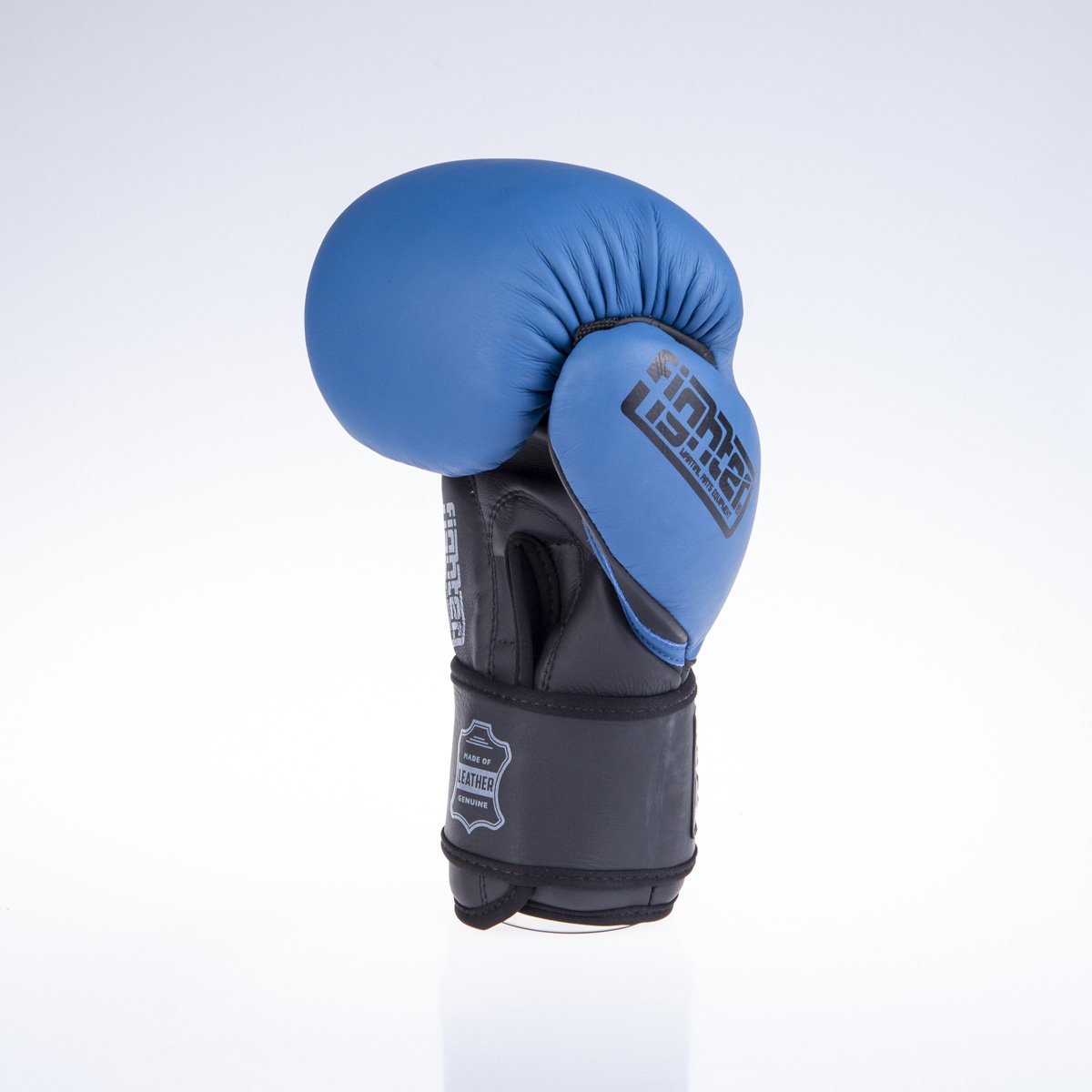 Fighter Boxhandschuhe SIAM - blau