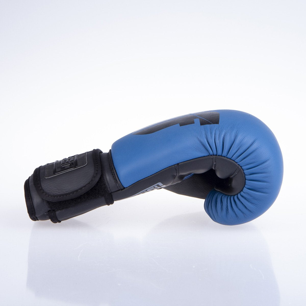 Fighter Boxhandschuhe SIAM - blau