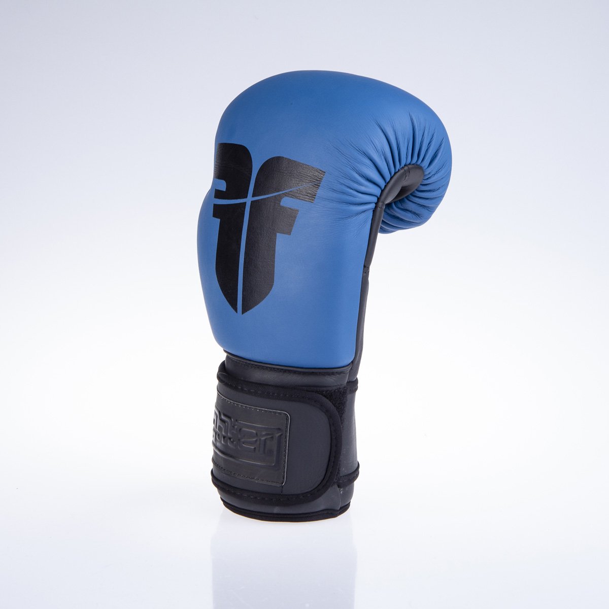 Fighter Boxhandschuhe SIAM - blau