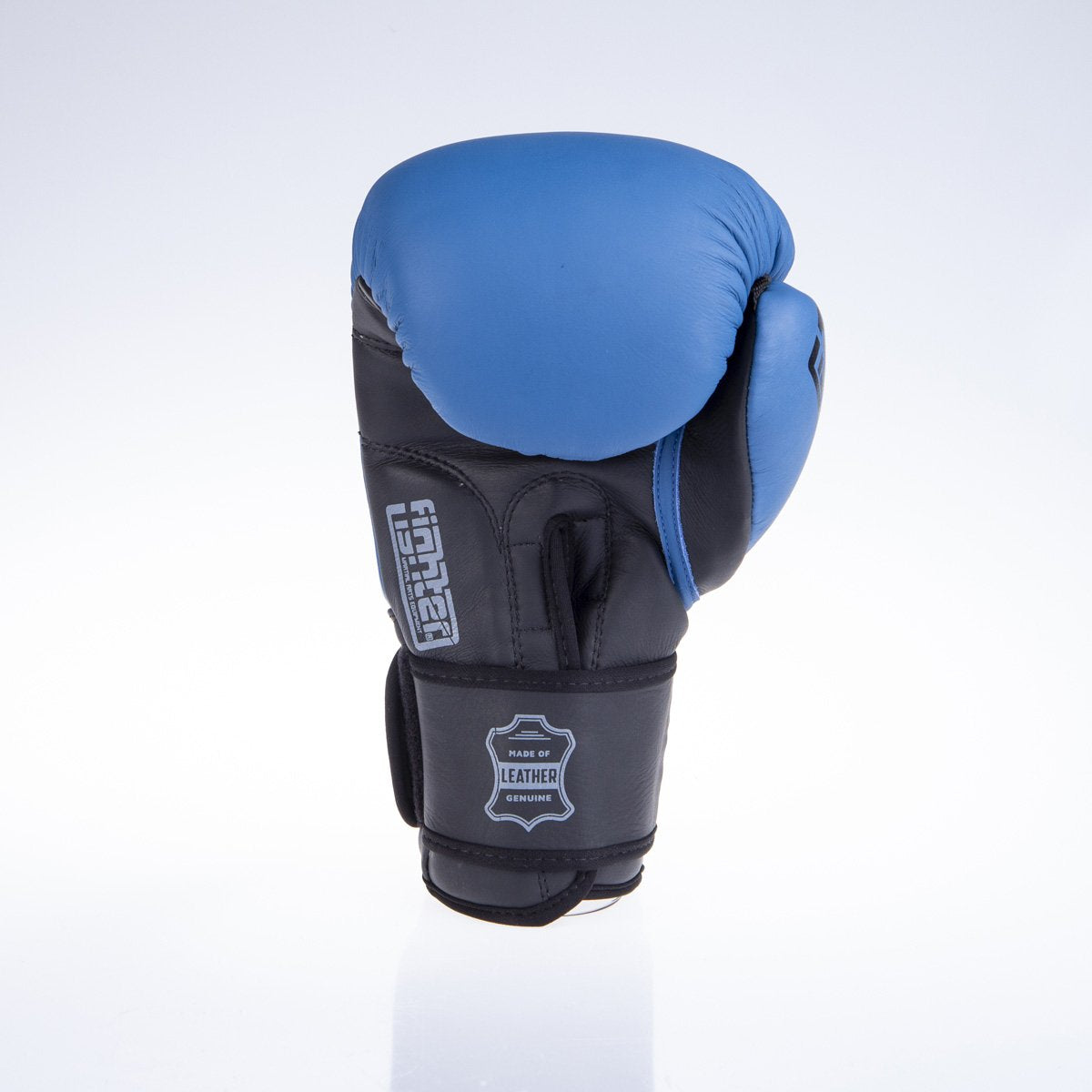 Fighter Boxhandschuhe SIAM - blau